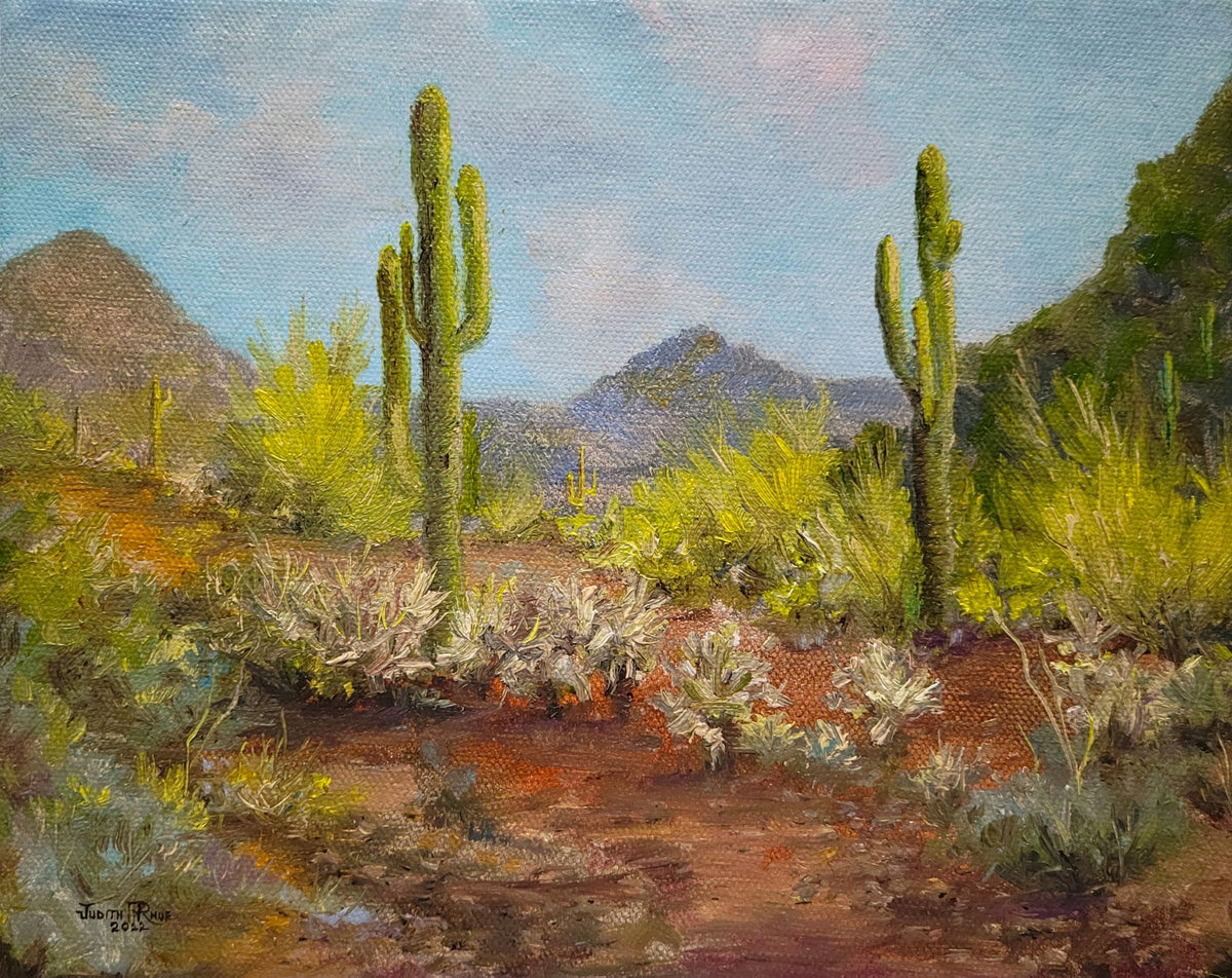 sonoran desert landscape paintings