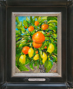 Citrus Sensation - original oil painting orange lemon citrus tree fruit nature one of a kind colorful paintings food kitchen canvas home garden wall art decor