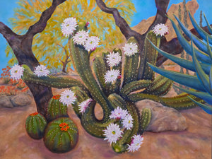 Scottsdale Garden - original oil painting, southwestern landscape, flowers, cactus, cacti, giant argentine, palo verde tree, mountain, barrel cactus, rocks, agave, plants, trees, desert, Arizona, Scottsdale