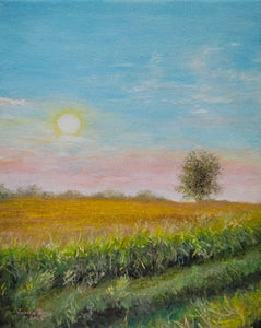 In Time - original oil painting landscape country scenery tree sun farmland farm one of a kind art field canvas wall art home living decor nature USA