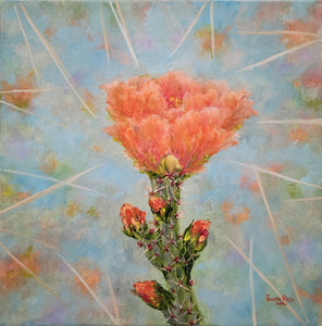 Torch Glow - original oil painting cactus flower desert southwest southwestern colorful floral flowers Arizona canvas wall art home decor nature thorns